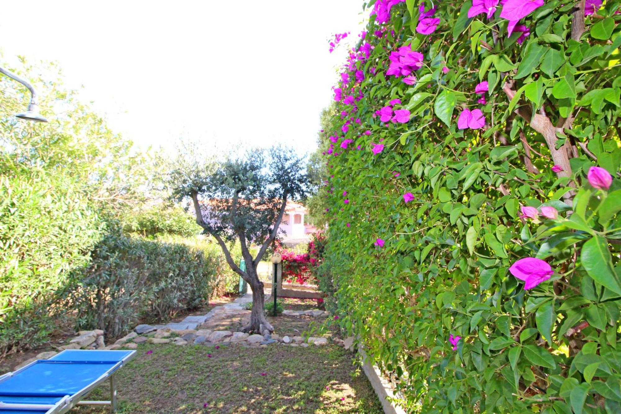 Bilo Blu Holiday A 80 Metri Dal Mare 코스타 레이 외부 사진